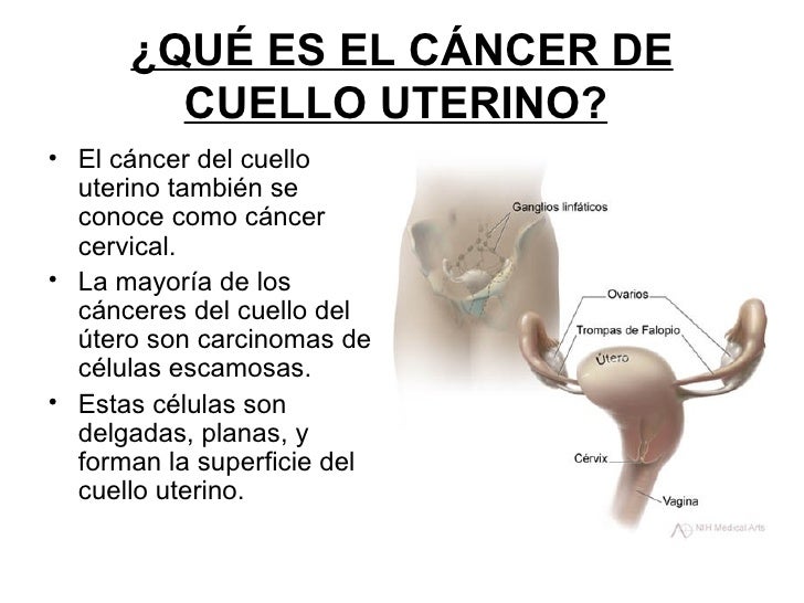 A embarazado duele la espalda a que médico ir