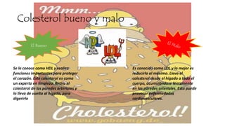 Colesterol bueno y malo
El Bueno
Se le conoce como HDL y realiza
funciones importantes para proteger
el corazón. Este colesterol es como
un experto en limpieza. Retira el
colesterol de las paredes arteriales y
lo lleva de vuelta al hígado, para
digerirlo
Es conocido como LDL y lo mejor es
reducirlo al máximo. Lleva el
colesterol desde el hígado a todo el
cuerpo, acumulándose lentamente
en las paredes arteriales. Esto puede
provocar enfermedades
cardiovasculares.
 