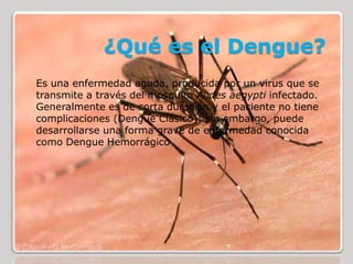 ¿Qué es el Dengue?
Es una enfermedad aguda, producida por un virus que se
transmite a través del mosquito Aedes aegypti infectado.
Generalmente es de corta duración y el paciente no tiene
complicaciones (Dengue Clásico); sin embargo, puede
desarrollarse una forma grave de enfermedad conocida
como Dengue Hemorrágico.
 