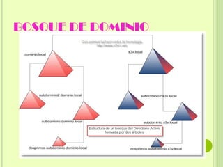 BOSQUE DE DOMINIO 