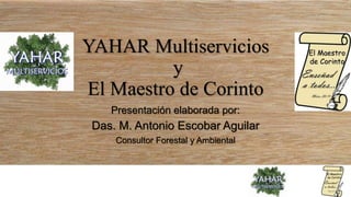 YAHAR Multiservicios
y
El Maestro de Corinto
Presentación elaborada por:
Das. M. Antonio Escobar Aguilar
Consultor Forestal y Ambiental
 