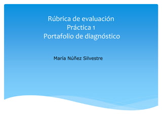 Rúbrica de evaluación 
Práctica 1 
Portafolio de diagnóstico 
María Núñez Silvestre 
 