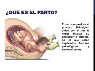 ¿QUÉ ES EL PARTO?
El parto normal es el
proceso fisiológico
único con el que la
mujer finaliza su
gestación a término,
en el que están
implicados factores
psicológicos y
socioculturales.
 
