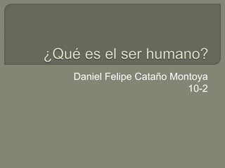 Daniel Felipe Cataño Montoya 
10-2 
 
