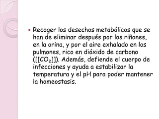    Recoger los desechos metabólicos que se
    han de eliminar después por los riñones,
    en la orina, y por el aire exhalado en los
    pulmones, rico en dióxido de carbono
    ([[CO2]]). Además, defiende el cuerpo de
    infecciones y ayuda a estabilizar la
    temperatura y el pH para poder mantener
    la homeostasis.
 