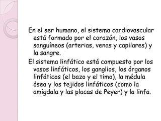 En el ser humano, el sistema cardiovascular
  está formado por el corazón, los vasos
  sanguíneos (arterias, venas y capilares) y
  la sangre.
El sistema linfático está compuesto por los
  vasos linfáticos, los ganglios, los órganos
  linfáticos (el bazo y el timo), la médula
  ósea y los tejidos linfáticos (como la
  amígdala y las placas de Peyer) y la linfa.
 