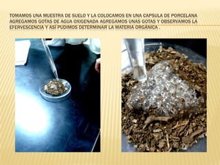 TOMAMOS UNA MUESTRA DE SUELO Y LA COLOCAMOS EN UNA CAPSULA DE PORCELANA
AGREGAMOS GOTAS DE AGUA OXIGENADA AGREGAMOS UNAS GOTAS Y OBSERVAMOS LA
EFERVESCENCIA Y ASÍ PUDIMOS DETERMINAR LA MATERIA ORGÁNICA .
 