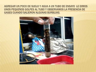AGREGAR UN POCO DE SUELO Y AGUA A UN TUBO DE ENSAYO LE DIMOS
UNOS PEQUEÑOS GOLPES AL TUBO Y OBSERVAMOS LA PRESENCIA DE
GASES CUANDO SALIERON ALGUNAS BURBUJAS.
 