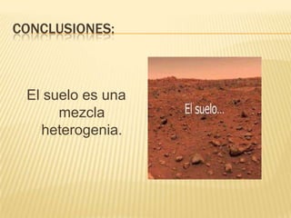 CONCLUSIONES:



 El suelo es una
      mezcla
   heterogenia.
 