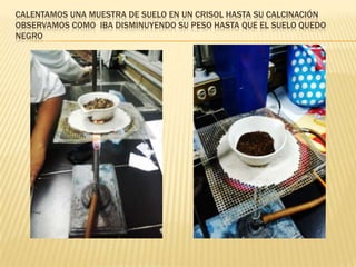 CALENTAMOS UNA MUESTRA DE SUELO EN UN CRISOL HASTA SU CALCINACIÓN
OBSERVAMOS COMO IBA DISMINUYENDO SU PESO HASTA QUE EL SUELO QUEDO
NEGRO
 