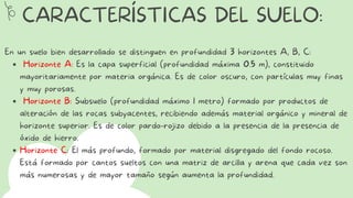 CARACTERÍSTICAS DEL SUELO:
Horizonte A: Es la capa superficial (profundidad máxima 0.5 m), constituido
mayoritariamente por materia orgánica. Es de color oscuro, con partículas muy finas
y muy porosas.
Horizonte B: Subsuelo (profundidad máximo 1 metro) formado por productos de
alteración de las rocas subyacentes, recibiendo además material orgánico y mineral de
horizonte superior. Es de color pardo-rojizo debido a la presencia de la presencia de
óxido de hierro.
Horizonte C: El más profundo, formado por material disgregado del fondo rocoso.
Está formado por cantos sueltos con una matriz de arcilla y arena que cada vez son
más numerosas y de mayor tamaño según aumenta la profundidad.
En un suelo bien desarrollado se distinguen en profundidad 3 horizontes A, B, C:
 