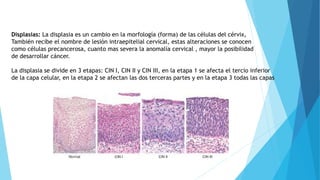 qu-es-el-vph-y-cuales-son-pptx