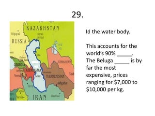 29.
      Id the water body.

      This accounts for the
      world’s 90% _____.
      The Beluga _____ is by
      far the most
      expensive, prices
      ranging for $7,000 to
      $10,000 per kg.
 