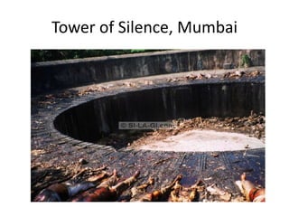 Tower of Silence, Mumbai
 