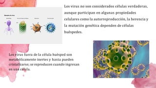 Los virus fuera de la célula huésped son
metabólicamente inertes y hasta pueden
cristalizarse; se reproducen cuando ingres...