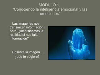 MODULO 1.  “Conociendo la inteligencia emocional y las emociones” ,[object Object],[object Object],[object Object],[object Object]