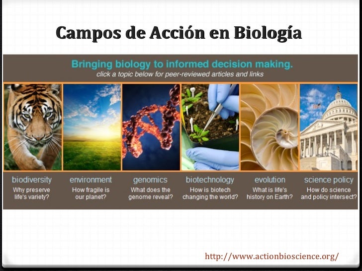 Que significa evalular Jornadas de Integracion