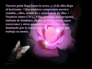 Nuestro patio llega hasta la cerca...y el de ellos llega
al horizonte. • Que nosotros compramos nuestra
comida;...ellos, siembran y cosechan la de ellos. •
Nosotros oímos CD's... Ellos escuchan una perpetua
sinfonía de bimbines, chuíos, pericos, ranas, sapos
cocorrones y otros animalitos....todo esto a veces
dominado por la sonora saloma de un vecino que
trabaja su monte.
 