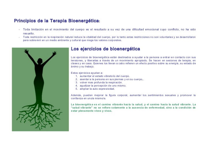 Qué es la bioenergética