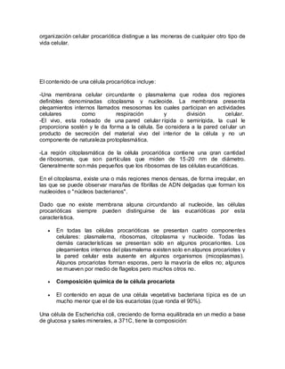 organización celular procariótica distingue a las moneras de cualquier otro tipo de
vida celular.




El contenido de una célula procariótica incluye:

-Una membrana celular circundante o plasmalema que rodea dos regiones
definibles denominadas citoplasma y nucleoide. La membrana presenta
plegamientos internos llamados mesosomas los cuales participan en actividades
celulares       como          respiración       y        división       celular.
-El vivo, esta rodeado de una pared celular rígida o semirígida, la cual le
proporciona sostén y le da forma a la célula. Se considera a la pared cel ular un
producto de secreción del material vivo del interior de la célula y no un
componente de naturaleza protoplasmática.

-La región citoplasmática de la célula procariótica contiene una gran cantidad
de ribosomas, que son partículas que miden de 15 -20 nm de diámetro.
Generalmente son más pequeños que los ribosomas de las células eucarióticas.

En el citoplasma, existe una o más regiones menos densas, de forma irregular, en
las que se puede observar marañas de fibrillas de ADN delgadas que forman los
nucleoides o "núcleos bacterianos".

Dado que no existe membrana alguna circundando al nucleoide, las células
procarióticas siempre pueden distinguirse de las eucarióticas por esta
característica.

      En todas las células procarióticas se presentan cuatro componentes
      celulares: plasmalema, ribosomas, citoplasma y nucleoide. Todas las
      demás características se presentan sólo en algunos procariontes. Los
      plegamientos internos del plasmalema existen solo en algunos procariotes y
      la pared celular esta ausente en algunos organismos (micoplasmas).
      Algunos procariotas forman esporas, pero la mayoría de ellos no; algunos
      se mueven por medio de flagelos pero muchos otros no.

      Composición química de la célula procariota

      El contenido en agua de una célula vegetativa bacteriana típica es de un
      mucho menor que el de los eucariotas (que ronda el 90%).

Una célula de Escherichia coli, creciendo de forma equilibrada en un medio a base
de glucosa y sales minerales, a 371C, tiene la composición:
 