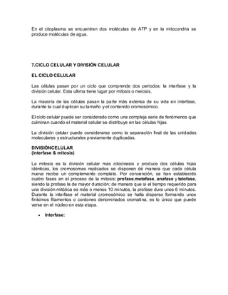 En el citoplasma se encuentran dos moléculas de ATP y en la mitocondria se
produce moléculas de agua.




7.CICLO CELULAR Y DIVISIÓN CELULAR

EL CICLO CELULAR

Las células pasan por un ciclo que comprende dos periodos: la interfase y la
división celular. Esta ultima tiene lugar por mitosis o meiosis.

La mayoría de las células pasan la parte más extensa de su vida en interfase,
durante la cual duplican su tamaño y el contenido cromosómico.

El ciclo celular puede ser considerado como una compleja serie de fenómenos que
culminan cuando el material celular se distribuye en las células hijas.

La división celular puede considerarse como la separación final de las unidades
moleculares y estructurales previamente duplicadas.

DIVISIÓNCELULAR
(interfase & mitosis)

La mitosis es la división celular mas citocinesis y produce dos células hijas
idénticas, los cromosomas replicados se disponen dé manera que cada célula
nueva recibe un complemento completo. Por convención, se han establecido
cuatro fases en el proceso de la mitosis: profase,metafase, anafase y telofase,
siendo la profase la de mayor duración; de manera que si el tiempo requerido para
una división mitótica es más o menos 10 minutos, la profase dura unos 6 minutos.
Durante la interfase el material cromosómico se halla disperso formando unos
finísimos filamentos o cordones denominados cromatina, es lo único que puede
verse en el núcleo en esta etapa.

      Interfase:
 