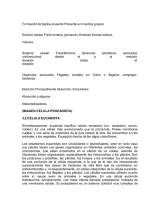 Formación de tejidos Ausente Presente en muchos grupos


División celular Fisión binaria, gemación Diversas formas mitosis,

meiosis


Sistema      sexual     Transferencia     Genomas           gaméticos       asociados
unidireccional          desde         el        a               la            meiosis
donador                                  hasta                                     el
receptor


Orgánulos   asociados    Flagelos   simples   en   Cilios    o   flagelos   complejos
bacterias


Nutrición Principalmente Absorción, fotosíntesis

Absorción y algunos

fotosintetizadores

(IMAGEN CÉLULA PROCARIOTA)

3.2.CÉLULA EUCARIOTA

Etimológicamente, eucariota significa núcleo verdadero (eu: verdadero, carios:
núcleo). Es una célula más evolucionada que la procariota. Posee membrana
nuclear y una serie de orgánulos de la que carece la otra. Se encuentran en los
animales y los vegetales. Excepción hecha de las algas cianofíceas.

Los organismos eucariotas son unicelulares o pluricelulares, pero en todo caso
sus células tienen sus genes organizados en diferentes unidades concretas, los
cromosomas, que están encerrados en el interior de un núcleo; además de
ribosomas tienen organizados, especialmente las mitocondrias y los plastos. Son
los protozoos y protofitas, las plantas, los hongos y los animales. Es el resultado
de una evolución de la célula procariota, a la que se le han ido incorporando
sucesivamente tres clases de bacterias de vida libre que se convirtieron en
endosimbiontes y, consiguientemente, en partes integrantes de la célula eucariota:
las mitocondrias, los flagelos y los plastos. Las células eucariotas difieren mucho
entre sí, según sean de animales o vegetales. En una célula eucariota
distinguimos, primeramente, una masa interna llamada protoplasma, rodeada de
una membrana celular. El protoplasma es un sistema coloidal muy complejo de
 