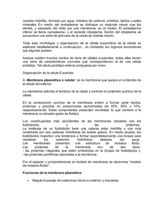 carácter hidrófilo, formado por agua, hidratos de carbono, prótidos, lípidos y sales
minerales En medio del protoplasma se distingue un orgánulo mayor que los
demás, y separado del resto por una membrana, es el núcleo. El protoplasma
inferior se llama carioplasma, y el restante citoplasma. Dentro del citoplasma se
encuentran una serie de gránulos de la célula de distinta misión.

Toda esta morfología y organización de la célula eucariótica de la célula se
explicará detalladamente a continuación , no olvidando los órganos locomotores
que algunas poseen.

Aunque existen muchos cientos de tipos de células eucariotas, todas ellas tienen
una serie de características comunes que corresponderían al de una célula
prototipo. Tal célula prototipo estaría compuesta por cinco.

Organización de la célula Eucariota:

A -Membrana plasmática o celular: es la membrana que separa el contenido de
la célula del exterior

La membrana delimita el territorio de la célula y controla el contenido químico de la
célula.

En la composición química de la membrana entran a formar parte lípidos,
proteínas y glúcidos en proporciones aproximadas de 40%, 50% y 10%,
respectivamente. Estos componentes presentan movilidad, lo que confiere a la
membrana un elevado grado de fluidez.

Los constituyentes más abundantes de las membranas celulares son los
fosfolípidos                     y                 las                   proteínas.
La molécula de un fosfolípido tiene una cabeza polar hidrófila y una cola
constituida por dos cadenas hidrófobas de ácidos grasos. En medio acuoso, los
fosfolípidos muestran una tendencia a formar espontáneamente una bicapa para
mantener         los      extremos     hidrófobos       alejados    del      agua.
Las      membranas       presentan    una    estructura     de    mosaico    fluido.
Las       proteínas      de     la    membrana       son       de    dos      tipos:
- las proteínas integrales que están embebidas en la bicapa de fosfolípidos y
- las proteínas periféricas asociadas a la membrana .

Por el aspecto y comportamiento el modelo de membrana se denomina "modelo
de mosaico fluído" .

Funciones de la membrana plasmática

      Regula el pasaje de sustancias hacia su exterior y viceversa:
 