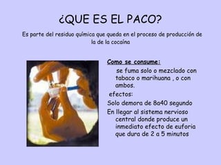 ¿QUE ES EL PACO?   Es parte del residuo química que queda en el proceso de producción de la de la cocaína Como se consume: se fuma solo o mezclado con tabaco o marihuana , o con ambos. efectos: Solo demora de 8a40 segundo  En llegar al sistema nervioso central donde produce un inmediato efecto de euforia que dura de 2 a 5 minutos  