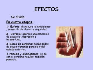 EFECTOS Se divide En cuatro etapas  : 1-   Euforia:  disminuye la inhibiciones , sensación de placer  y seguridad.  2- Disforia:  aparece una sensación de angustia , depresión e inseguridad. 3-Deseo de consumo:  necesidades de seguir fumando para salir del estado anterior. 4-Psicosis y alucinaciones:  se da con el consumo regular. también paranoia.                                               