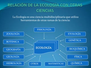 La Ecología es una ciencia multidisciplinaria que utiliza
          herramientas de otras ramas de la ciencia:


                         FISIOLOGÍA
ZOOLOGÍA                                           ETOLOGÍA

                                                    GENÉTICA
BOTÁNICA

                       ECOLOGÍA                      BIOQUÍMICA
GEOGRAFÍA

GEOLOGÍA                                                 FÍSICA

HIDROLOGÍA         OTROS          MATEMÁTICAS         QUÍMICA
 