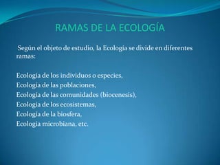 RAMAS DE LA ECOLOGÍA
 Según el objeto de estudio, la Ecología se divide en diferentes
ramas:

Ecología de los individuos o especies,
Ecología de las poblaciones,
Ecología de las comunidades (biocenesis),
Ecología de los ecosistemas,
Ecología de la biosfera,
Ecología microbiana, etc.
 