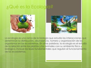 ¿Qué es la Ecología?

La ecología es una rama de la biología que estudia las interacciones que
determinan la distribución, abundancia, número y organización de los
organismos en los ecosistemas. En otras palabras, la ecología es el estudio
de la relación entre las plantas y los animales con su ambiente físico y
biológico. Incluye las leyes fundamentales que regulan el funcionamiento
de los ecosistemas.

 