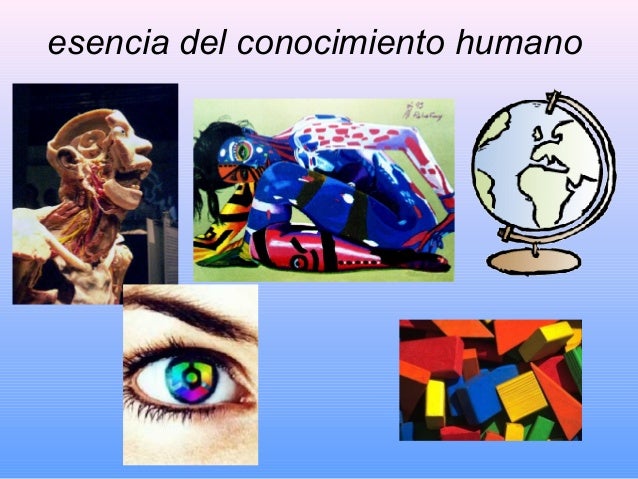 Qué es la fenomenología del conocimiento