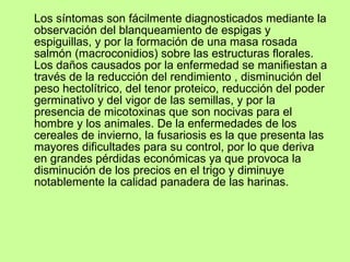 Fusariosis de la espiga | PPT