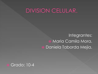Integrantes:
 Maria Camila Mora.
 Daniela Taborda Mejia.
 Grado: 10-4
 