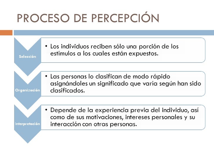 Qué es la percepción