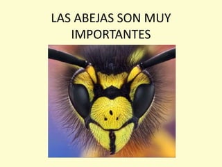 LAS ABEJAS SON MUY
IMPORTANTES
 