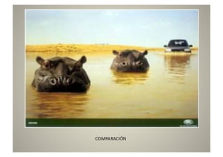 COMPARACIÓN	
  
 