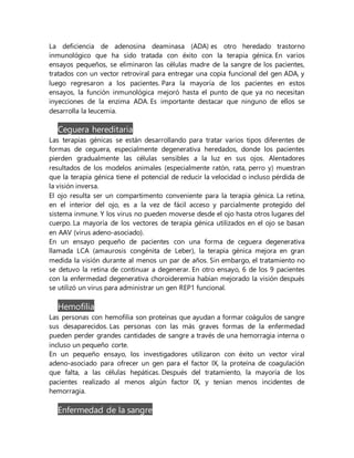 La deficiencia de adenosina deaminasa (ADA) es otro heredado trastorno
inmunológico que ha sido tratada con éxito con la terapia génica. En varios
ensayos pequeños, se eliminaron las células madre de la sangre de los pacientes,
tratados con un vector retroviral para entregar una copia funcional del gen ADA, y
luego regresaron a los pacientes. Para la mayoría de los pacientes en estos
ensayos, la función inmunológica mejoró hasta el punto de que ya no necesitan
inyecciones de la enzima ADA. Es importante destacar que ninguno de ellos se
desarrolla la leucemia.
Ceguera hereditaria
Las terapias génicas se están desarrollando para tratar varios tipos diferentes de
formas de ceguera, especialmente degenerativa heredados, donde los pacientes
pierden gradualmente las células sensibles a la luz en sus ojos. Alentadores
resultados de los modelos animales (especialmente ratón, rata, perro y) muestran
que la terapia génica tiene el potencial de reducir la velocidad o incluso pérdida de
la visión inversa.
El ojo resulta ser un compartimento conveniente para la terapia génica. La retina,
en el interior del ojo, es a la vez de fácil acceso y parcialmente protegido del
sistema inmune. Y los virus no pueden moverse desde el ojo hasta otros lugares del
cuerpo. La mayoría de los vectores de terapia génica utilizados en el ojo se basan
en AAV (virus adeno-asociado).
En un ensayo pequeño de pacientes con una forma de ceguera degenerativa
llamada LCA (amaurosis congénita de Leber), la terapia génica mejora en gran
medida la visión durante al menos un par de años. Sin embargo, el tratamiento no
se detuvo la retina de continuar a degenerar. En otro ensayo, 6 de los 9 pacientes
con la enfermedad degenerativa choroideremia habían mejorado la visión después
se utilizó un virus para administrar un gen REP1 funcional.
Hemofilia
Las personas con hemofilia son proteínas que ayudan a formar coágulos de sangre
sus desaparecidos. Las personas con las más graves formas de la enfermedad
pueden perder grandes cantidades de sangre a través de una hemorragia interna o
incluso un pequeño corte.
En un pequeño ensayo, los investigadores utilizaron con éxito un vector viral
adeno-asociado para ofrecer un gen para el factor IX, la proteína de coagulación
que falta, a las células hepáticas. Después del tratamiento, la mayoría de los
pacientes realizado al menos algún factor IX, y tenían menos incidentes de
hemorragia.
Enfermedad de la sangre
 