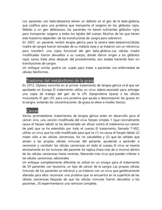 Los pacientes con beta-talasemia tienen un defecto en el gen de la beta-globina,
que codifica para una proteína que transporta el oxígeno en los glóbulos rojos.
Debido a un gen defectuoso, los pacientes no tienen suficientes glóbulos rojos
para transportar oxígeno a todos los tejidos del cuerpo. Muchos de los que tienen
este trastorno dependen de las transfusiones de sangre para sobrevivir.
En 2007, un paciente recibió terapia génica para la severa beta-talasemia.Células
madre de sangre fueron tomadas de su médula ósea y se trataron con un retrovirus
para transferir una copia funcional del gen beta-globina. Las células madre
modificadas fueron devueltos a su cuerpo, donde dieron origen a los glóbulos
rojos sanos. Siete años después del procedimiento, aún estaba haciendo bien sin
transfusiones de sangre.
Un enfoque similar podría ser usado para tratar a pacientes con enfermedad de
células falciformes .
Trastorno del metabolismo de la grasa
En 2012, Glybera convirtió en el primer tratamiento de terapia génica viral que ser
aprobado en Europa. El tratamiento utiliza un virus adeno-asociado para entregar
una copia de trabajo del gen de la LPL (lipoproteína lipasa) a las células
musculares. El gen LPL para una proteína que ayuda a descomponer las grasas en
la sangre, evitando las concentraciones de grasa se eleve a niveles tóxicos.
Cáncer
Varios prometedores tratamientos de terapia génica están en desarrollo para el
cáncer. Uno, una versión modificada del virus herpes simplex 1 (que normalmente
causa el herpes labial) se ha demostrado ser eficaz contra el melanoma (un cáncer
de piel) que se ha extendido por todo el cuerpo. El tratamiento, llamado T-VEC,
utiliza un virus que ha sido modificado para que se (1) no causa el herpes labial; (2)
matar sólo a las células cancerosas, los no saludables; y (3) que las señales que
atraen a las propias células inmunes del paciente, ayudando a aprender a
reconocer y combatir las células cancerosas en todo el cuerpo. El virus se inyecta
directamente en los tumores del paciente. Se replica (hace más de sí mismo) dentro
de las células cancerosas hasta reventar, liberando más virus que pueden infectar a
las células cancerosas adicionales.
Un enfoque completamente diferente se utilizó en un ensayo para el tratamiento
de 59 pacientes con leucemia, un tipo de cáncer de la sangre. Las propias células
inmunes de los pacientes se retiraron y se trataron con un virus que genéticamente
alterada para ellos reconocer una proteína que se encuentra en la superficie de las
células cancerosas. Después de que las células inmunes fueron devueltos a los
pacientes, 26 experimentaron una remisión completa.
 