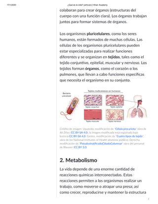 17/1/2020 ¿Qué es la vida? (artículo) | Khan Academy
/
colaboran para crear órganos (estructuras del
cuerpo con una función clara). Los órganos trabajan
juntos para formar sistemas de órganos.
Los organismos pluricelulares, como los seres
humanos, están formados de muchas células. Las
células de los organismos pluricelulares pueden
estar especializadas para realizar funciones
diferentes y se organizan en tejidos, tales como el
tejido conjun vo, epitelial, muscular y nervioso. Los
tejidos forman órganos, como el corazón o los
pulmones, que llevan a cabo funciones especíﬁcas
que necesita el organismo en su conjunto.
Crédito de imagen: izquierda, modiﬁcación de "Célula procariota" obra de
Ali Zifan (CC BY-SA 4,0), la imagen modiﬁcada está registrada bajo
licencia CC BY-SA 4,0. Centro, modiﬁcación de "Cuatro pos de tejido",
obra de los Na onal Ins tutes of Health (dominio público). Derecha,
modiﬁcación de "Pseudostra ﬁcadoCiliadoColumnar" obra del personal
de Blausen (CC BY 3,0)
2. Metabolismo
La vida depende de una enorme can dad de
reacciones químicas interconectadas. Estas
reacciones permiten a los organismos realizar un
trabajo, como moverse o atrapar una presa; así
como crecer, reproducirse y mantener la estructura
 