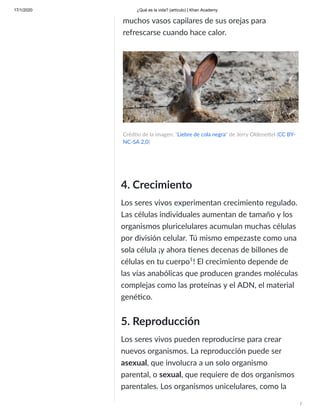 17/1/2020 ¿Qué es la vida? (artículo) | Khan Academy
/
4. Crecimiento
Los seres vivos experimentan crecimiento regulado.
Las células individuales aumentan de tamaño y los
organismos pluricelulares acumulan muchas células
por división celular. Tú mismo empezaste como una
sola célula ¡y ahora enes decenas de billones de
células en tu cuerpo ! El crecimiento depende de
las vías anabólicas que producen grandes moléculas
complejas como las proteínas y el ADN, el material
gené co.
5. Reproducción
Los seres vivos pueden reproducirse para crear
nuevos organismos. La reproducción puede ser
asexual, que involucra a un solo organismo
parental, o sexual, que requiere de dos organismos
parentales. Los organismos unicelulares, como la
muchos vasos capilares de sus orejas para
refrescarse cuando hace calor.
Créd o de la imagen: "Liebre de cola negra" de Jerry Oldene el (CC BY-
NC-SA 2,0)
1
 