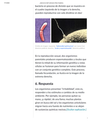 17/1/2020 ¿Qué es la vida? (artículo) | Khan Academy
/
bacteria en proceso de división que se muestra en
el cuadro izquierdo de la imagen a la derecha,
¡pueden reproducirse con solo dividirse en dos!
Crédito de imagen: izquierda, "Salmonella typhimurium" por Janice Carr
(dominio público); derecha, "óvulo y espermatozoide", (dominio público)
En la reproducción sexual, dos organismos
parentales producen espermatozoides y óvulos que
enen la mitad de su información gené ca y estas
células se fusionan para formar un nuevo individuo
con un conjunto gené co completo. Este proceso,
llamado fecundación, se ilustra en la imagen de la
extrema derecha.
6. Respuesta
Los organismos presentan "irritabilidad", esto es,
responden a los es mulos o cambios de su medio
ambiente. Por ejemplo, las personas quitan su
mano, ¡y rápido!, de una llama; muchas plantas
giran en busca del sol y los organismos unicelulares
migran hacia una fuente de nutrientes o se alejan
de sustancias químicas nocivas.[Ocultar explicación.]
 