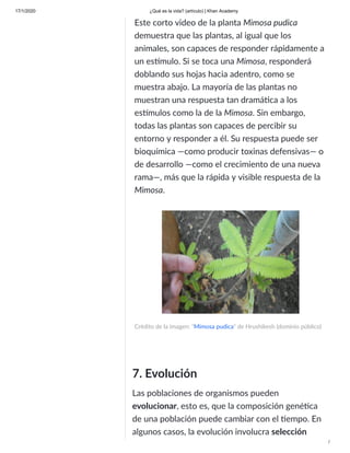 17/1/2020 ¿Qué es la vida? (artículo) | Khan Academy
/
7. Evolución
Las poblaciones de organismos pueden
evolucionar, esto es, que la composición gené ca
de una población puede cambiar con el empo. En
algunos casos, la evolución involucra selección
Este corto video de la planta Mimosa pudica
demuestra que las plantas, al igual que los
animales, son capaces de responder rápidamente a
un es mulo. Si se toca una Mimosa, responderá
doblando sus hojas hacia adentro, como se
muestra abajo. La mayoría de las plantas no
muestran una respuesta tan dramá ca a los
es mulos como la de la Mimosa. Sin embargo,
todas las plantas son capaces de percibir su
entorno y responder a él. Su respuesta puede ser
bioquímica —como producir toxinas defensivas— o
de desarrollo —como el crecimiento de una nueva
rama—, más que la rápida y visible respuesta de la
Mimosa.
Crédito de la imagen: "Mimosa pudica" de Hrushikesh (dominio público)
 