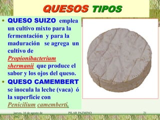 QUESOS TIPOS
• QUESOS AZULES como el Roquefort la
  cuajada se inocula con Penicilium roqueforti y le
  da el aspecto jasp...