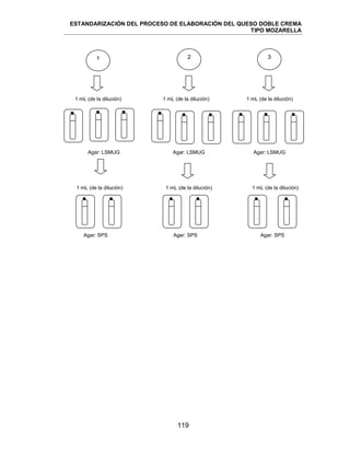 ESTANDARIZACIÓN DEL PROCESO DE ELABORACIÓN DEL QUESO DOBLE CREMA
TIPO MOZARELLA
119
1 mL (de la dilución) 1 mL (de la dilución) 1 mL (de la dilución)
Agar: LSMUG Agar: LSMUG Agar: LSMUG
1 mL (de la dilución) 1 mL (de la dilución) 1 mL (de la dilución)
Agar: SPS Agar: SPS Agar: SPS
1 2 3
 