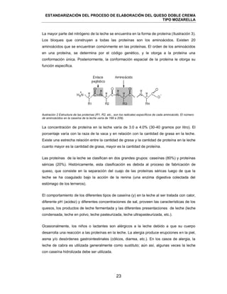 ESTANDARIZACIÓN DEL PROCESO DE ELABORACIÓN DEL QUESO DOBLE CREMA
TIPO MOZARELLA
23
La mayor parte del nitrógeno de la leche se encuentra en la forma de proteína (Ilustración 3).
Los bloques que construyen a todas las proteínas son los aminoácidos. Existen 20
aminoácidos que se encuentran comúnmente en las proteínas. El orden de los aminoácidos
en una proteína, se determina por el código genético, y le otorga a la proteína una
conformación única. Posteriormente, la conformación espacial de la proteína le otorga su
función específica.
Ilustración 2 Estructura de las proteínas (R1, R2, etc., son los radicales específicos de cada aminoácido. El número
de aminoácidos en la caseína de la leche varía de 199 a 209).
La concentración de proteína en la leche varía de 3.0 a 4.0% (30-40 gramos por litro). El
porcentaje varía con la raza de la vaca y en relación con la cantidad de grasa en la leche.
Existe una estrecha relación entre la cantidad de grasa y la cantidad de proteína en la leche
cuanto mayor es la cantidad de grasa, mayor es la cantidad de proteína.
Las proteínas de la leche se clasifican en dos grandes grupos: caseínas (80%) y proteínas
séricas (20%). Históricamente, esta clasificación es debida al proceso de fabricación de
queso, que consiste en la separación del cuajo de las proteínas séricas luego de que la
leche se ha coagulado bajo la acción de la renina (una enzima digestiva colectada del
estómago de los terneros).
El comportamiento de los diferentes tipos de caseína (y) en la leche al ser tratada con calor,
diferente pH (acidez) y diferentes concentraciones de sal, proveen las características de los
quesos, los productos de leche fermentada y las diferentes presentaciones de leche (leche
condensada, leche en polvo, leche pasteurizada, leche ultrapasteurizada, etc.).
Ocasionalmente, los niños o lactantes son alérgicos a la leche debido a que su cuerpo
desarrolla una reacción a las proteínas en la leche. La alergia produce erupciones en la piel,
asma y/o desórdenes gastrointestinales (cólicos, diarrea, etc.). En los casos de alergia, la
leche de cabra es utilizada generalmente como sustituto; aún así, algunas veces la leche
con caseína hidrolizada debe ser utilizada.
 
