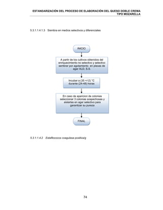 ESTANDARIZACIÓN DEL PROCESO DE ELABORACIÓN DEL QUESO DOBLE CREMA
TIPO MOZARELLA
74
5.3.1.1.4.1.3 Siembra en medios selectivos y diferenciales
5.3.1.1.4.2 Estafilococos coagulasa positiva/g
A partir de los cultivos obtenidos del
enriquecimiento no selectivo y selectivo
sembrar por agotamiento en placas de
agar XLD, S.S.
INICIO
Incubar a (35 +/-2) °C
durante (24-48) horas
FINAL
En caso de aparicion de colonias
seleccionar 3 colonias sospechosas y
aislarlas en agar selectivo para
garantizar su pureza
 