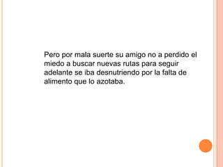Pero por mala suerte su amigo no a perdido el
miedo a buscar nuevas rutas para seguir
adelante se iba desnutriendo por la falta de
alimento que lo azotaba.
 
