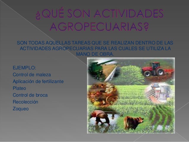 3 Palabras Relacionadas Con Actividades Pecuarias www.slideshare.net